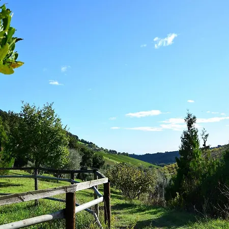 Apartment In Marche With Pool Near Adriatic *